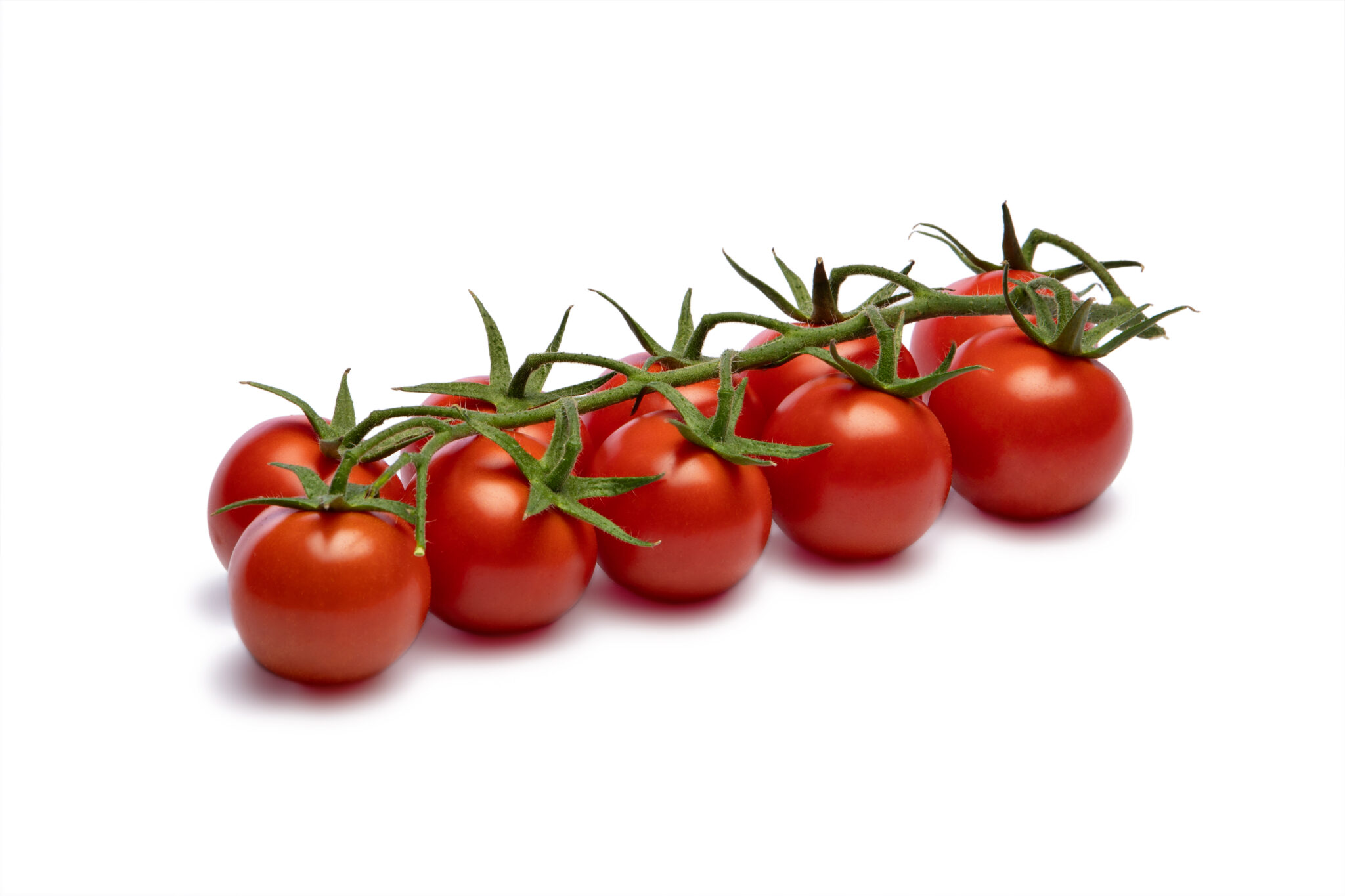 TOMATE CHERRY scaled