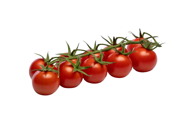 TOMATE CHERRY 1536x1024 removebg preview